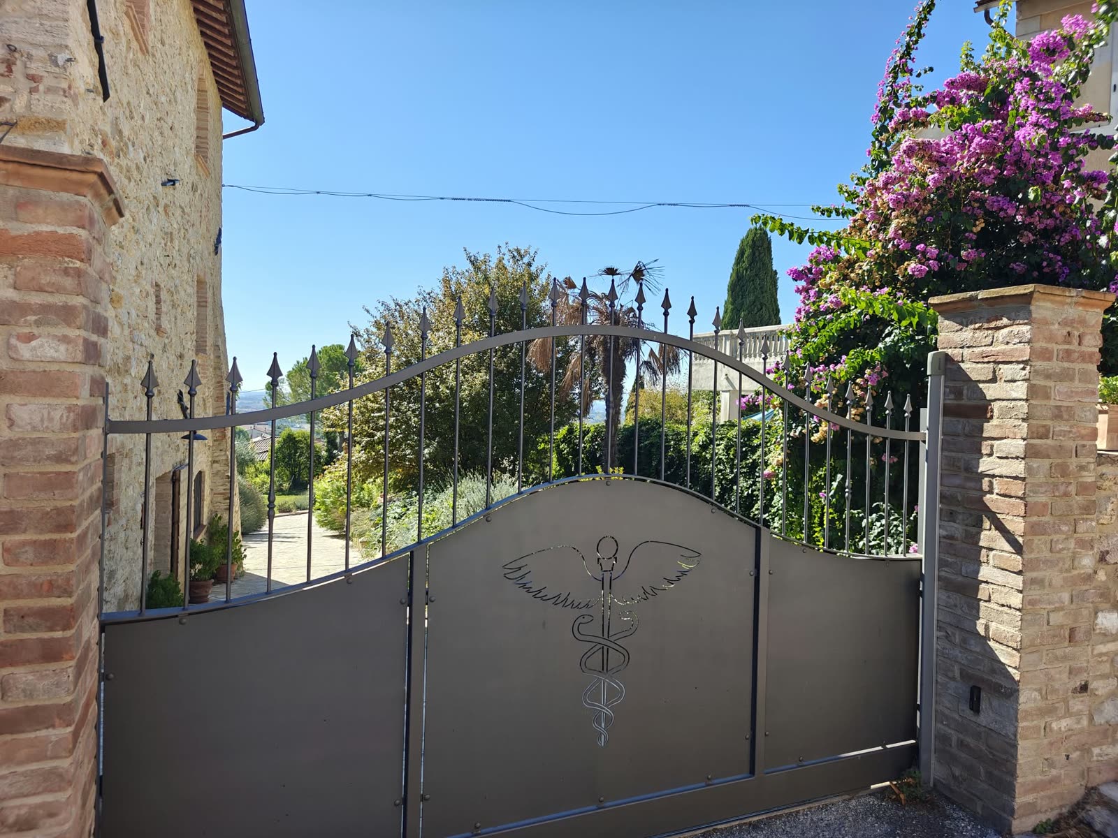 Il cancello esterno dello studio, con il caduceo e una bouganville in fiore.