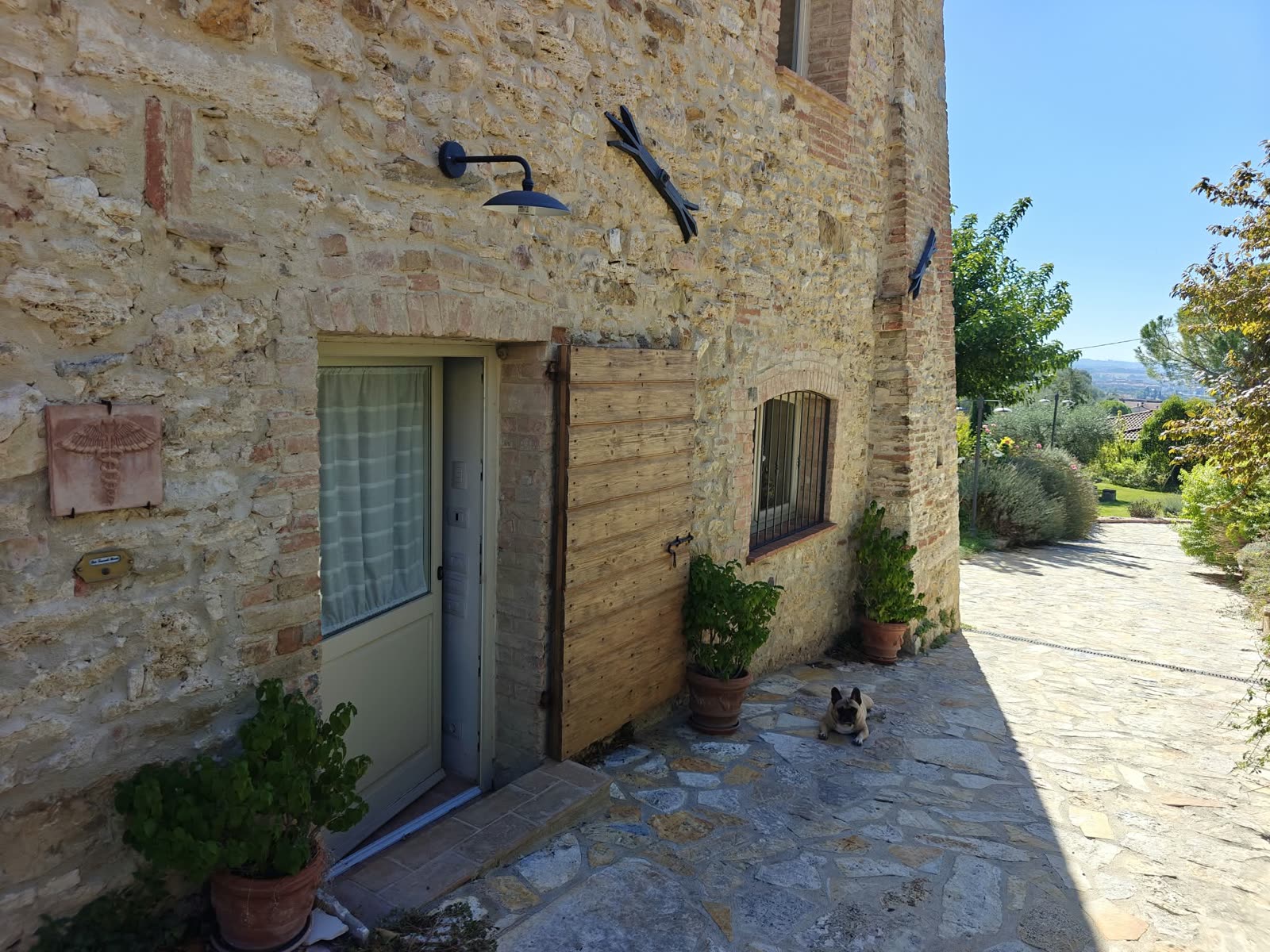 L'ingresso dello studio in pietra, con un cagnolino sdraiato davanti alla porta.