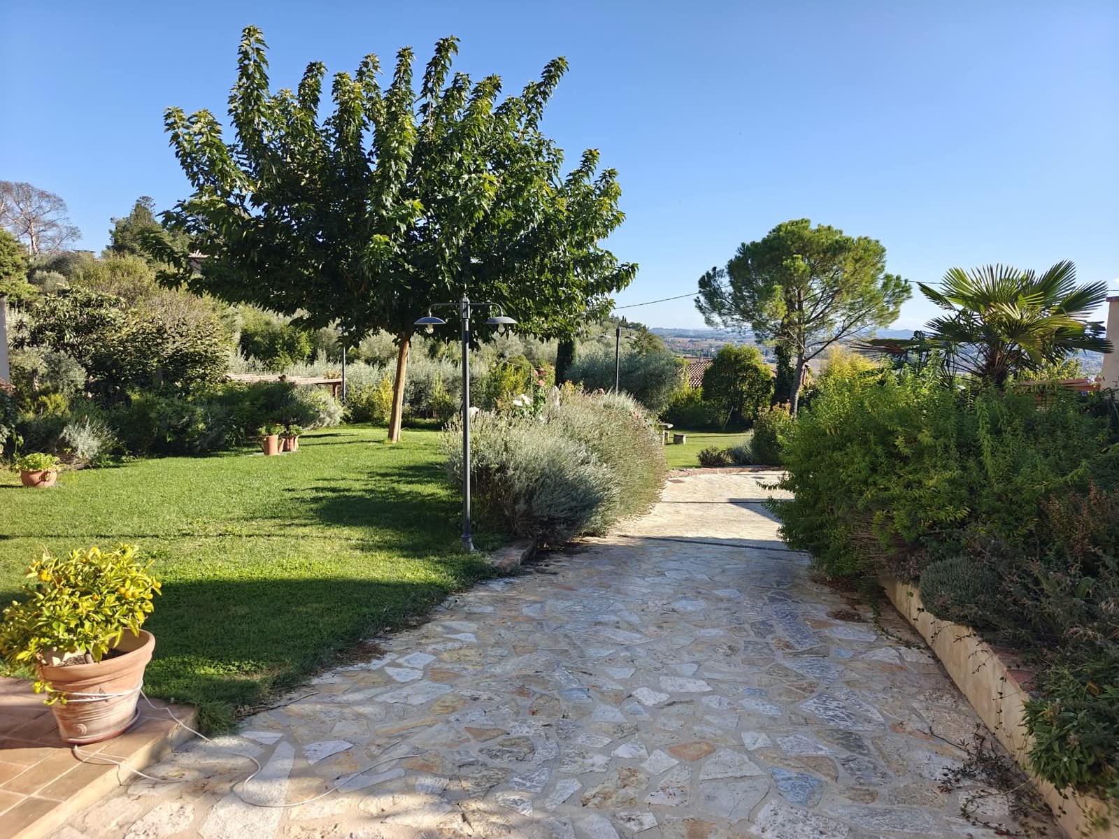 Il giardino dello studio: un vialetto in pietra tra prato, lavanda e alberi, con vista sulla campagna.